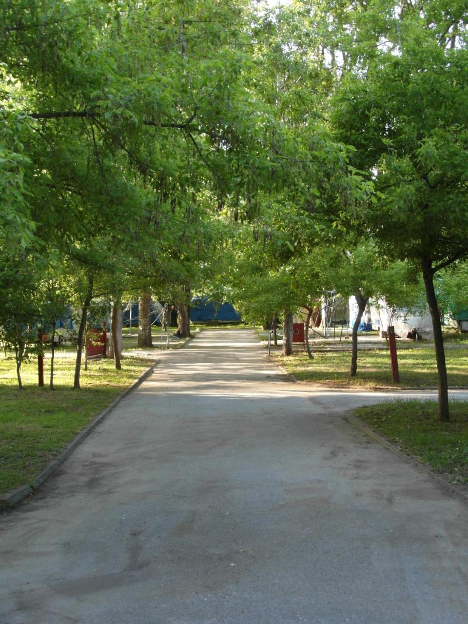 Camping Orpheus Apartments Неос-Пантелеймонас Екстер'єр фото