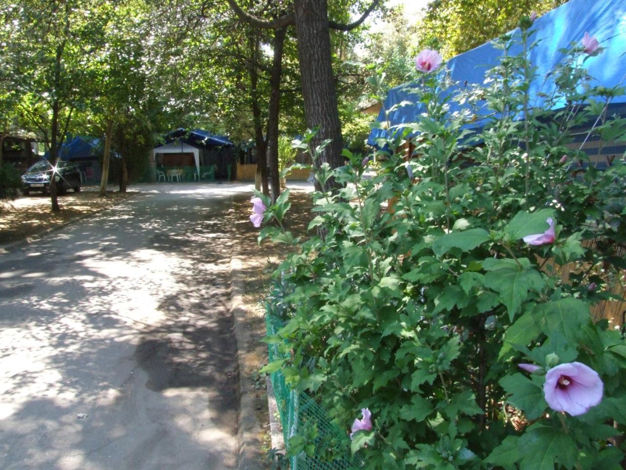 Camping Orpheus Apartments Неос-Пантелеймонас Екстер'єр фото